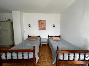 Studio entre Thermes et centre-ville avec jardin, parking et WIFI - FR-1-541-119